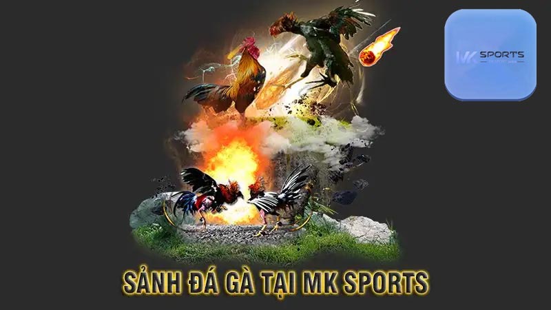 Tổng quan về sàn đá gà Mksports